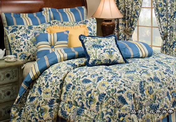 ϺҼ2009Įa(chn)Ʒ¡صǈ