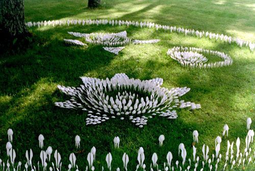 一次性餐具 拼出別樣藝術(shù)