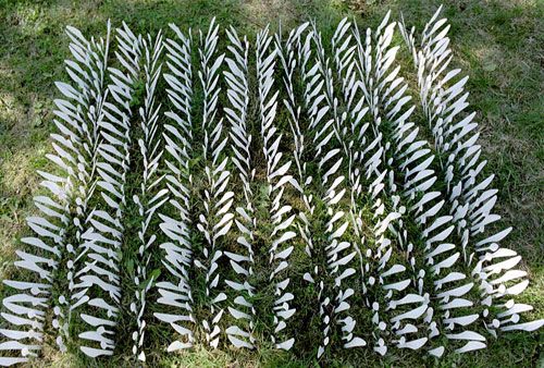 3 一次性餐具拼出別樣藝術(shù)