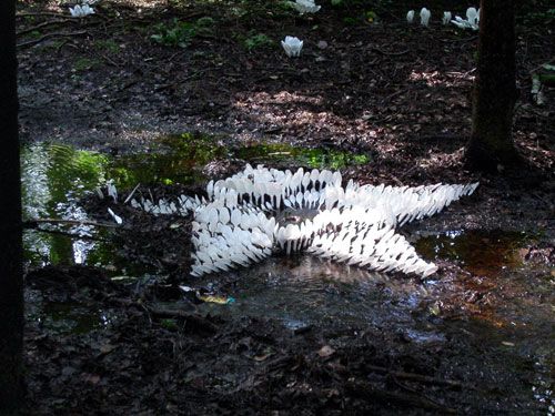 緊跟時(shí)尚 年輕人選擇的地板 一次性餐具拼出別樣藝術(shù)