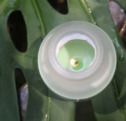 千詩碧可香薰新品清涼登夏