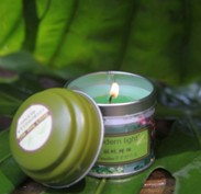 千詩碧可香薰新品清涼登夏