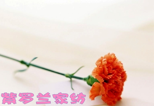 溫情五月 紫羅蘭為母親喝彩