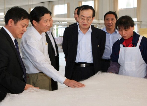 國(guó)家農(nóng)業(yè)部副部長(zhǎng)陳曉華一行蒞臨玖久絲綢調(diào)研