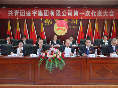 盛宇集團團總支升格為團委,第一次團代會隆重召開