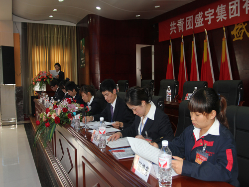 盛宇集團(tuán)團(tuán)總支升格為團(tuán)委,第一次團(tuán)代會隆重召開