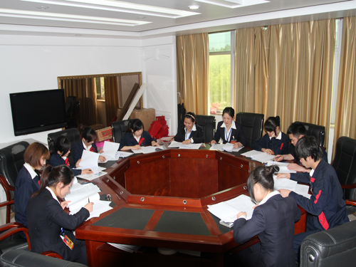 盛宇集團(tuán)團(tuán)總支升格為團(tuán)委,第一次團(tuán)代會隆重召開