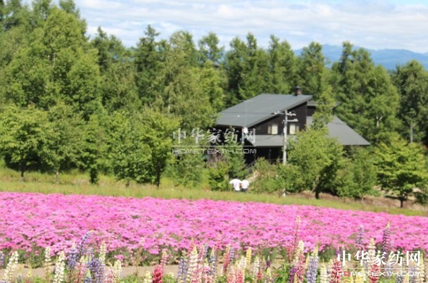 ����Ҽ���푡����ڲ��������ϱ����������������