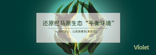 _mҼDf@IӢFķAʢ